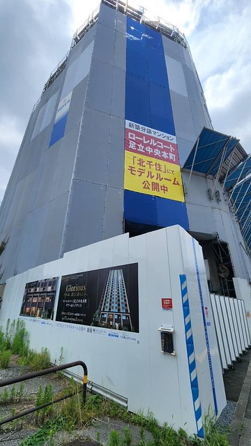 すくすく育ってます！！完成がたのしみです...