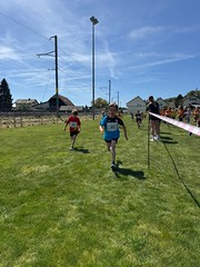 Mooslauf 2026