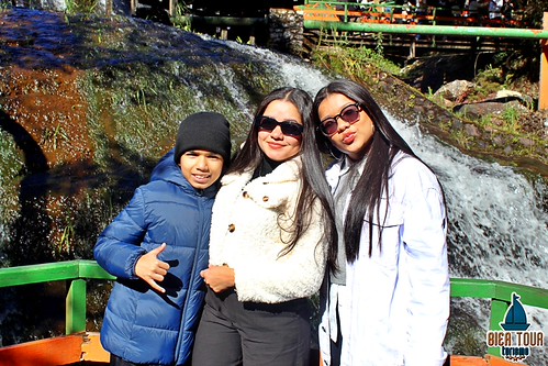 batch_IMG_8739