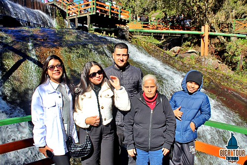 batch_IMG_8731