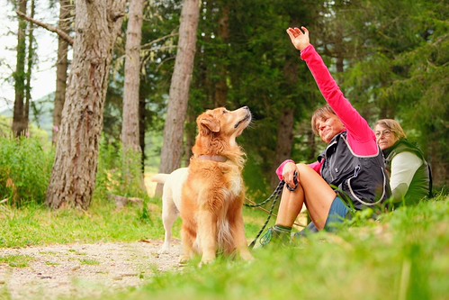 OLIVER - ""Dogs being dogs: portraits" 4/4 | by giulio_piffer