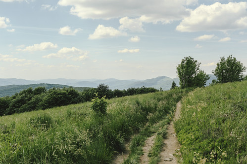 DSCF1556