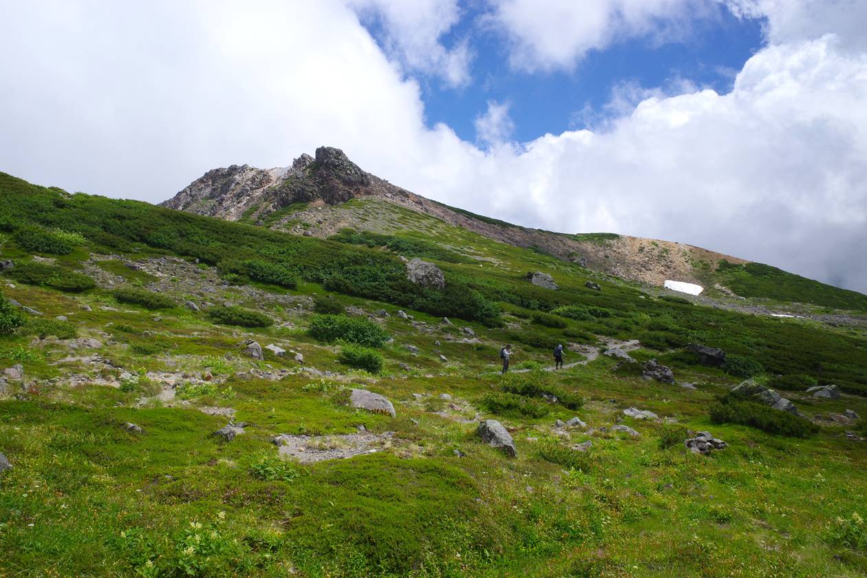 白山 コバイケイソウの当たり年！山小屋泊で行く夏山登山（バス利用）