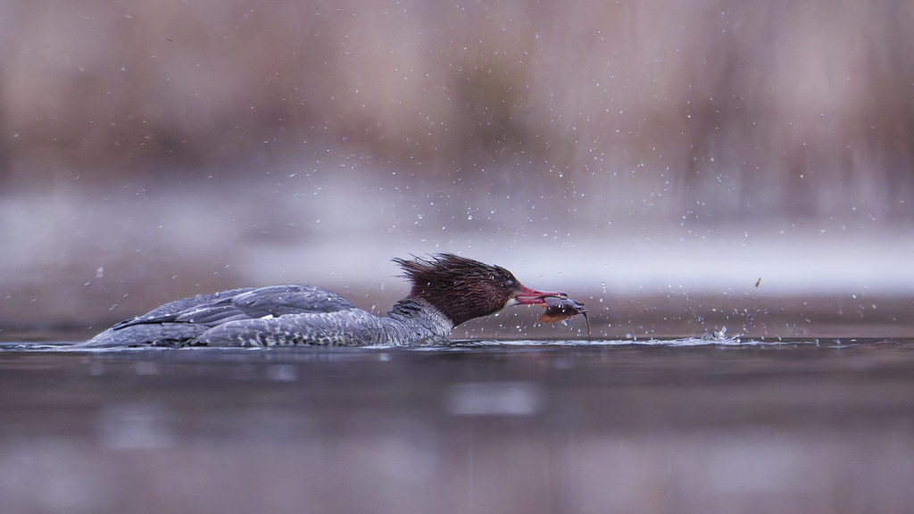 Life and Loss — photograph by Jerry Flynn