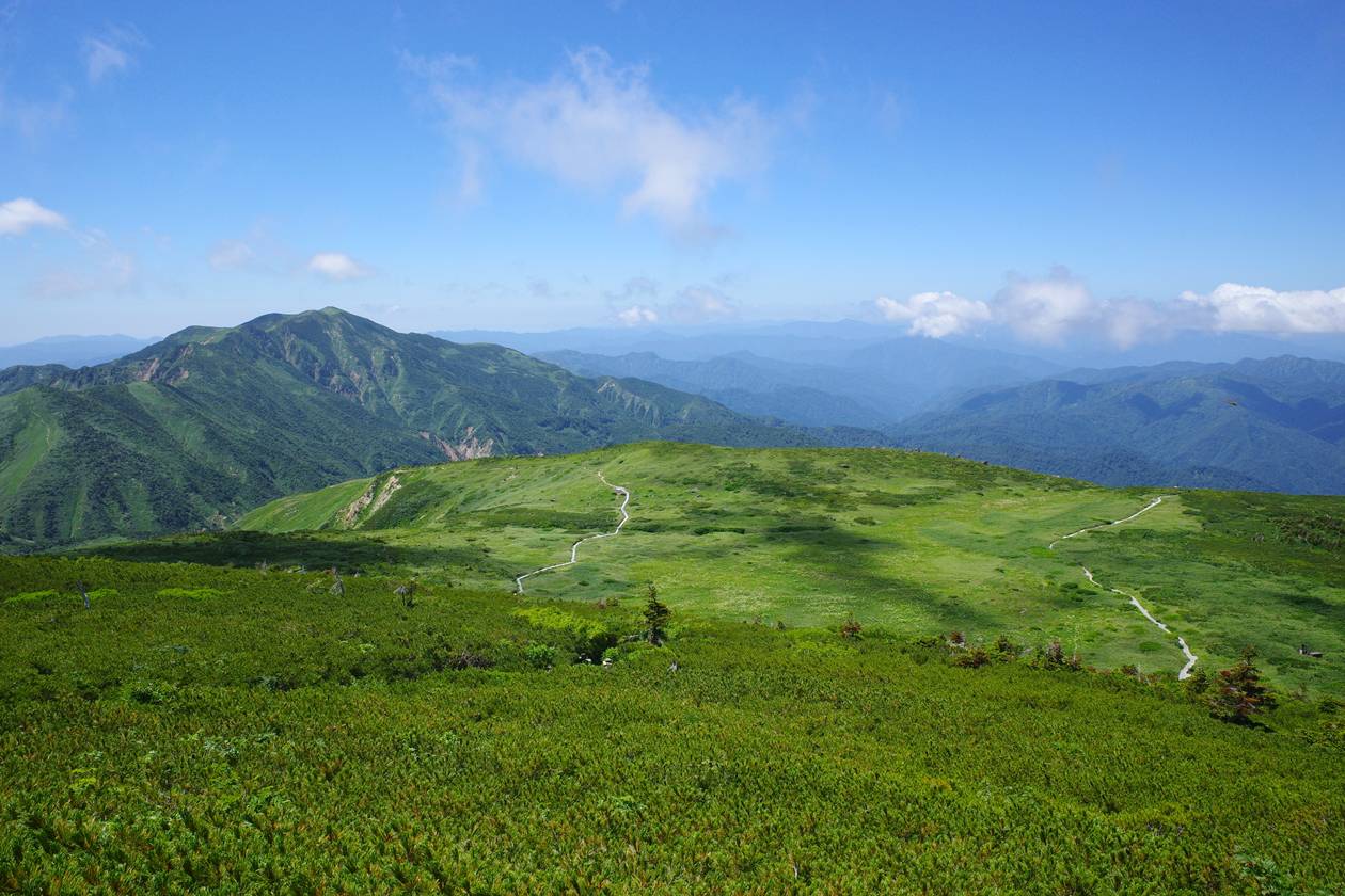 白山 コバイケイソウの当たり年！山小屋泊で行く夏山登山（バス利用）