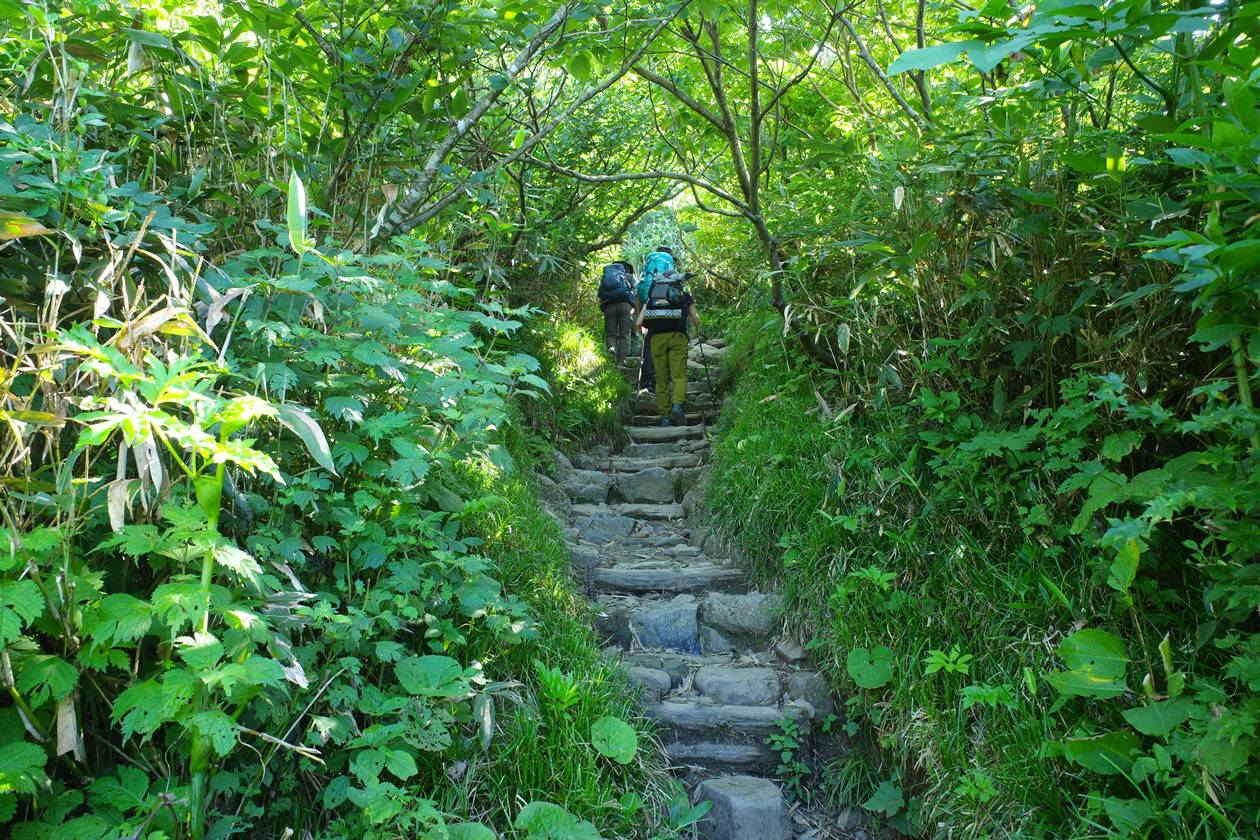白山 山小屋泊で行く夏山登山（バス利用）