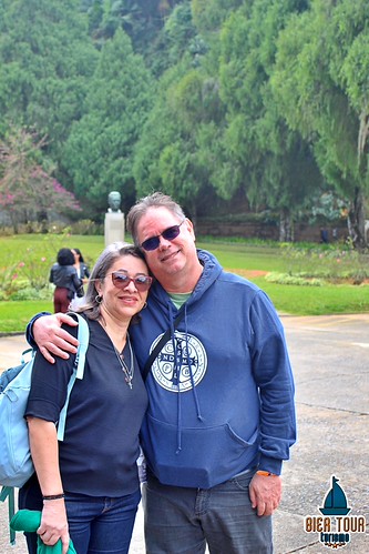 batch_IMG_8523