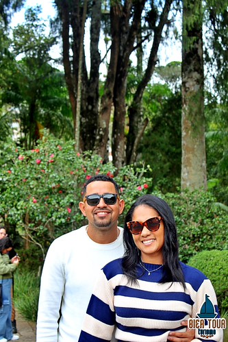 batch_IMG_8517