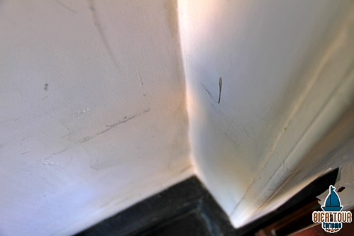 batch_IMG_9954