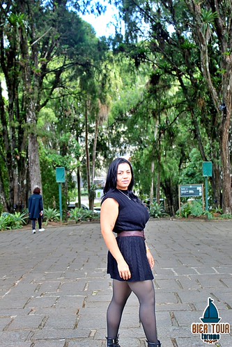batch_IMG_8496