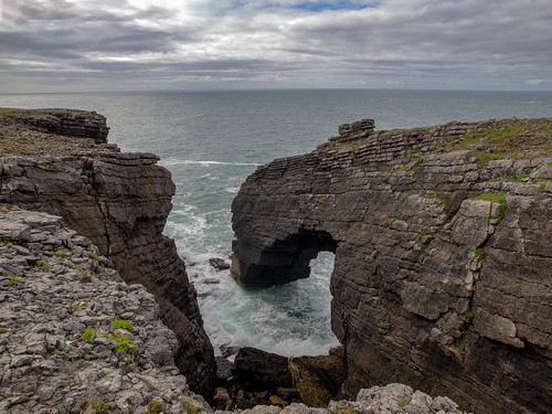 The Secret Coast