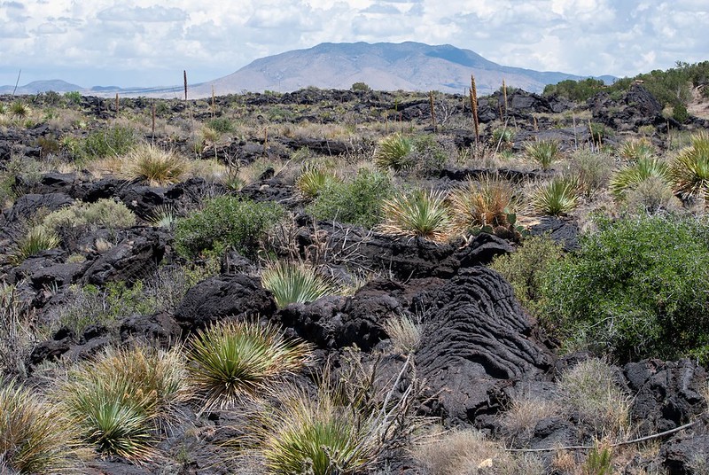 Valley of Fires - Lava Fields