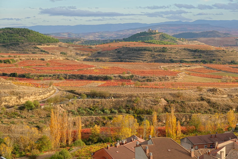 Castillo de Davalillo. San Vicente de la Sonsierra. Balcón de la Rioja. - Recorriendo La Rioja en otoño: historia, cultura y paisajes. (29)