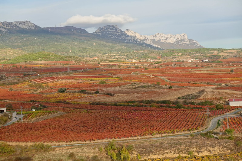 Castillo de Davalillo. San Vicente de la Sonsierra. Balcón de la Rioja. - Recorriendo La Rioja en otoño: historia, cultura y paisajes. (32)