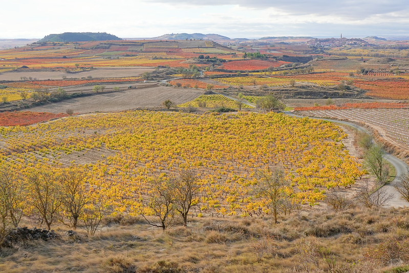 Castillo de Davalillo. San Vicente de la Sonsierra. Balcón de la Rioja. - Recorriendo La Rioja en otoño: historia, cultura y paisajes. (7)