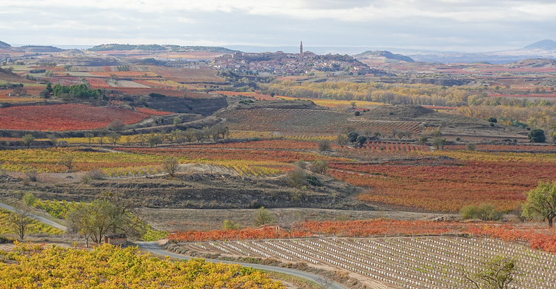 Castillo de Davalillo. San Vicente de la Sonsierra. Balcón de la Rioja. - Recorriendo La Rioja en otoño: historia, cultura y paisajes. (15)