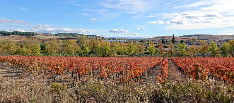 Castillo de Davalillo. San Vicente de la Sonsierra. Balcón de la Rioja. - Recorriendo La Rioja en otoño: historia, cultura y paisajes. (1)