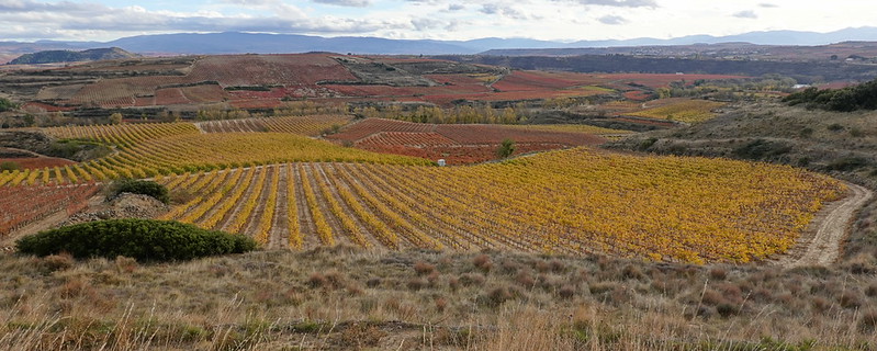 Castillo de Davalillo. San Vicente de la Sonsierra. Balcón de la Rioja. - Recorriendo La Rioja en otoño: historia, cultura y paisajes. (12)