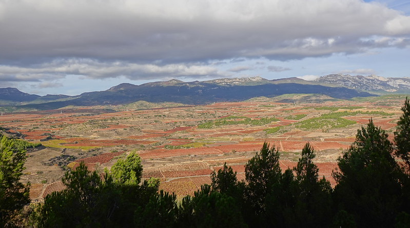 Castillo de Davalillo. San Vicente de la Sonsierra. Balcón de la Rioja. - Recorriendo La Rioja en otoño: historia, cultura y paisajes. (14)