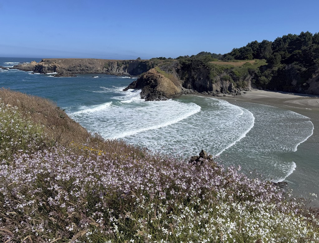 Jug Handle State Natural Reserve