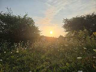 Sunrise or sunset photo of Oosteinde