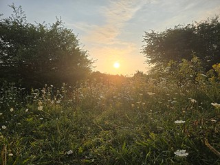 Sunrise or sunset photo of Oosteinde