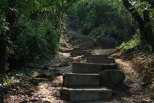 Lion Rock Country Park