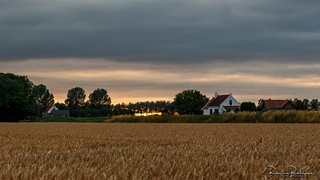 Flickr photo: Setting sun behind trees