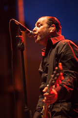Social Distortion