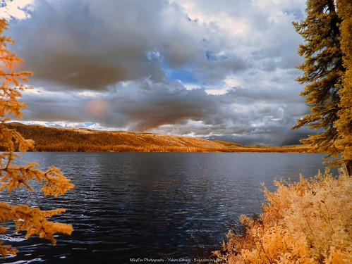 Fall Colors Imagined —Infrared 665nm