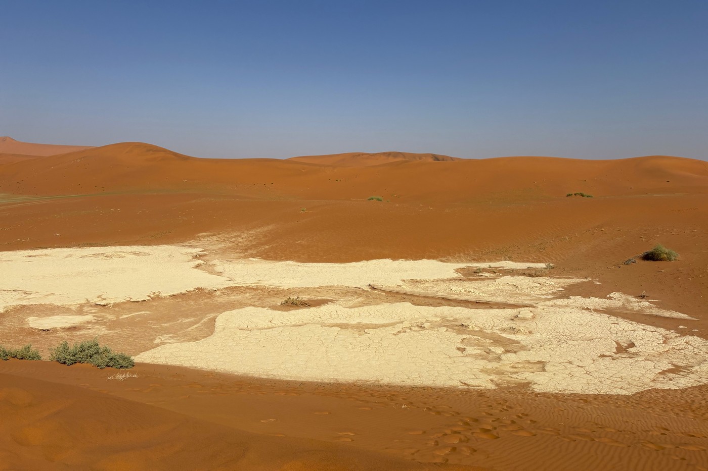 IMG_2948
