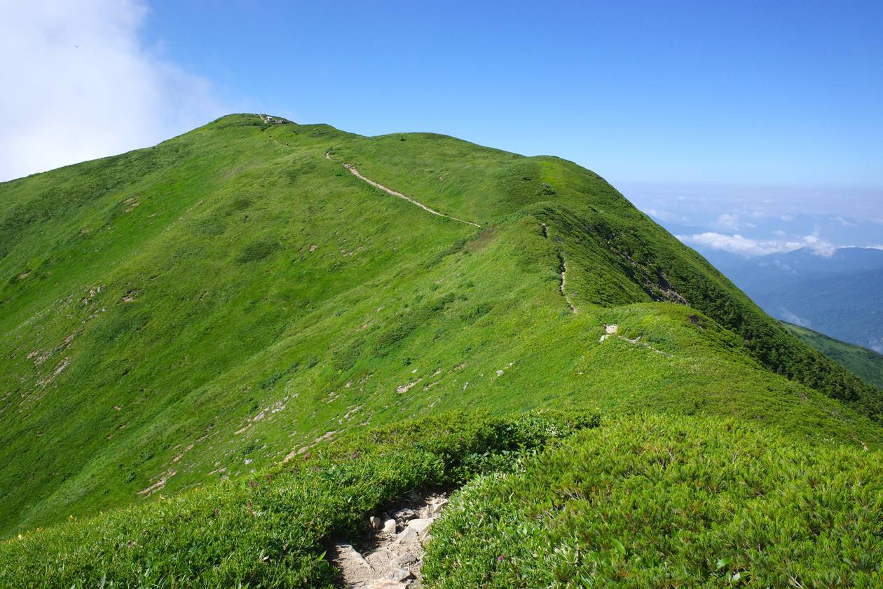 【北陸】白山～別山 高山植物満開の稜線へ！山小屋泊で行く夏山登山