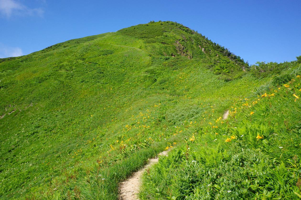 【北陸】別山～チブリ尾根 お花畑広がる稜線へ！山小屋泊で行く夏山登山（バス利用）