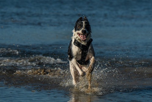Making a splash | by JayaQ