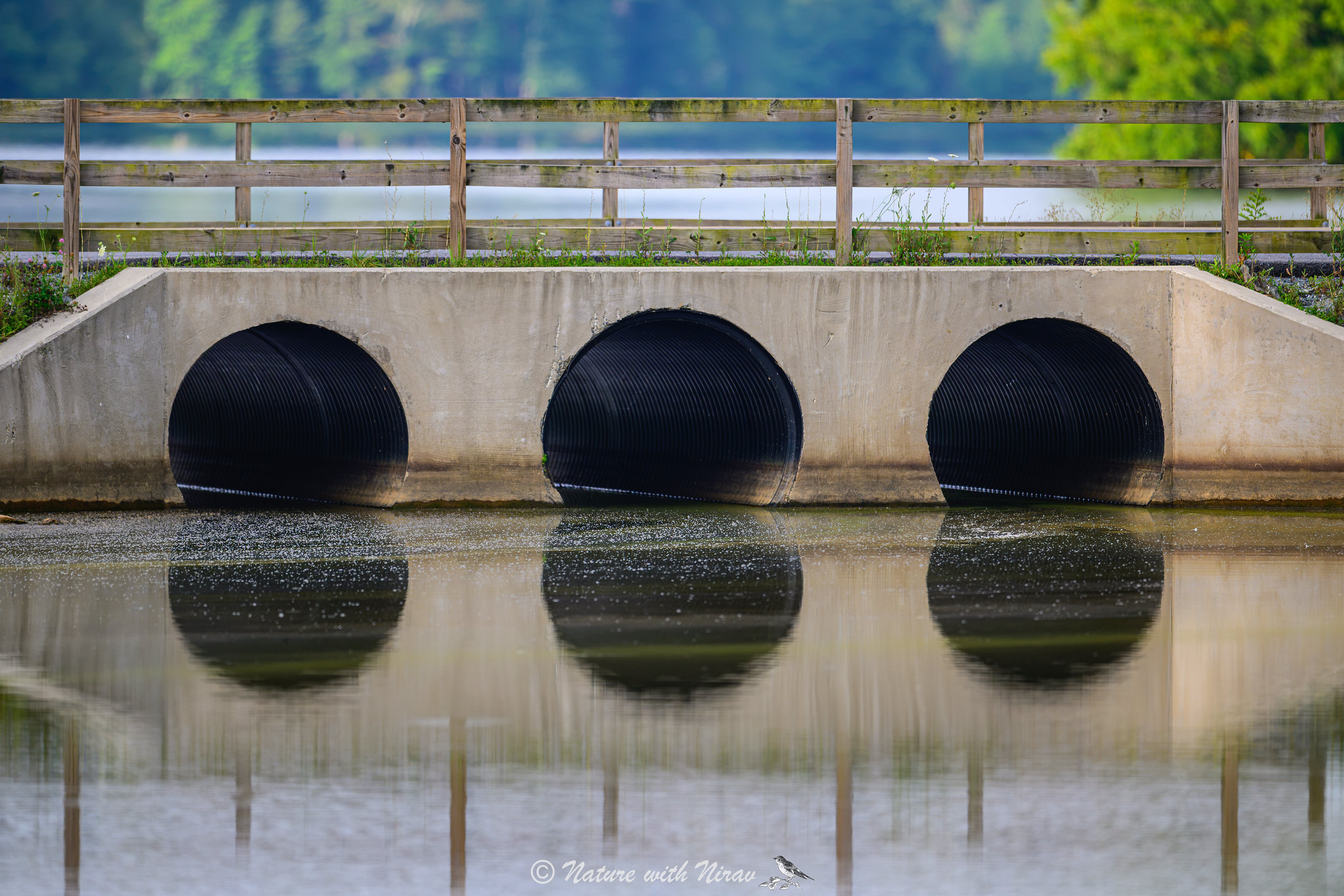 Bridge