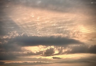 Flickr photo: Rays