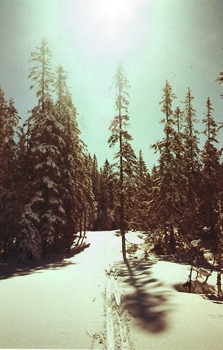 vinter 2026 19 | by Chromatic Dreams