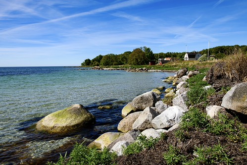 The bay