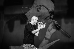 Yong Yello @ Lokerse Feesten 2026 (Jan Van den Bulck)