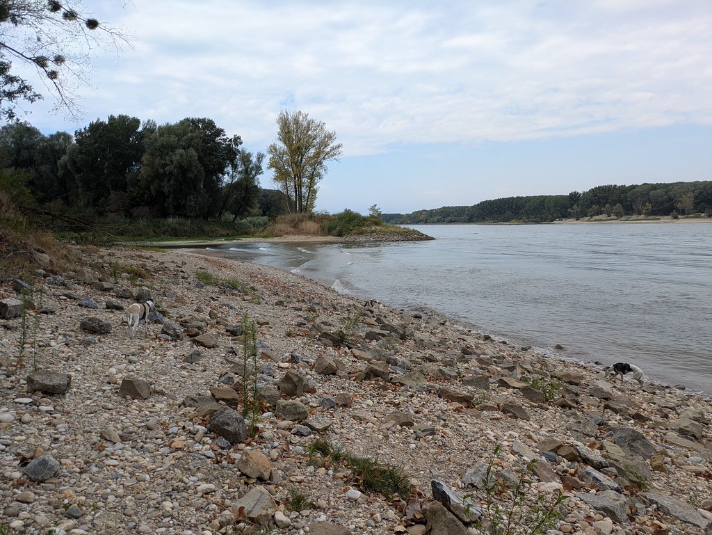 PXL_20260807_093241841