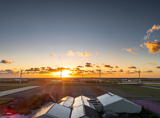 Flickr photo: A farm watching the sunset in silence. Ruigeweg, city of Burgerbrug, The Netherlands.
