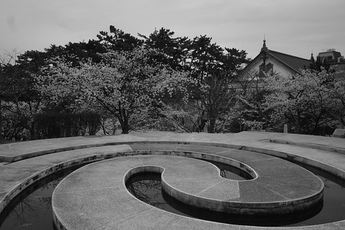 Sakura monochrome 2025