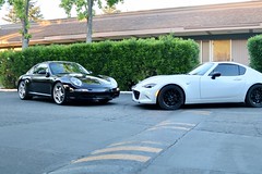 IMG_0647