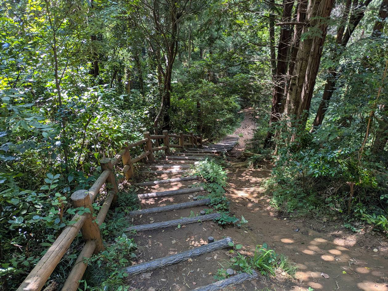 【南高尾】草戸山～城山湖 お盆に低山ハイキング