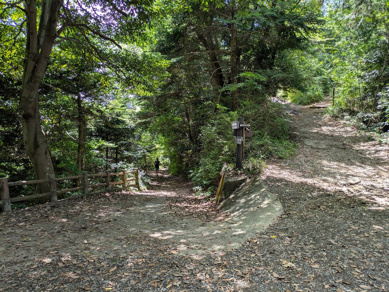 【南高尾】草戸山～城山湖 お盆に縦走登山