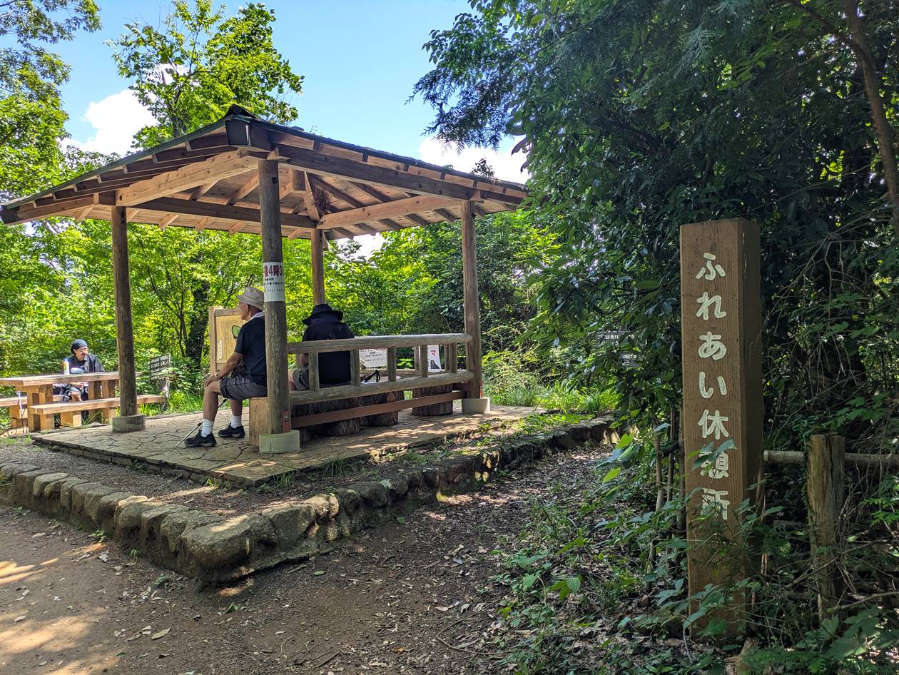 【南高尾】草戸山～城山湖 ふれあい休憩所