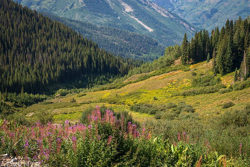 North Fork of Lost Trail Creek