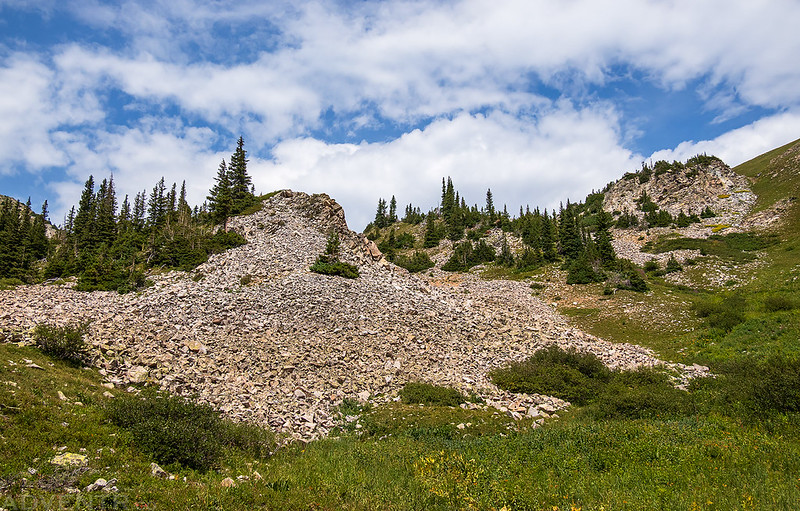 Buckskin Basin Scene