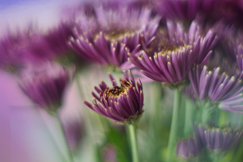 Opening | by JMS2