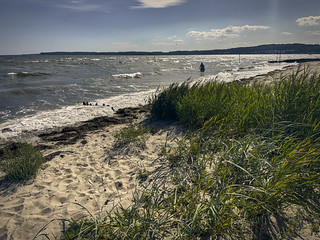 Flickr photo: (26.9.8.) 365-221bg Surf